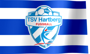 The waving fan flag of TSV Hartberg with the logo (Animated GIF)