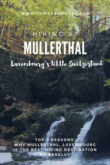 Hiking at Mullerthal trial, Luxembourg