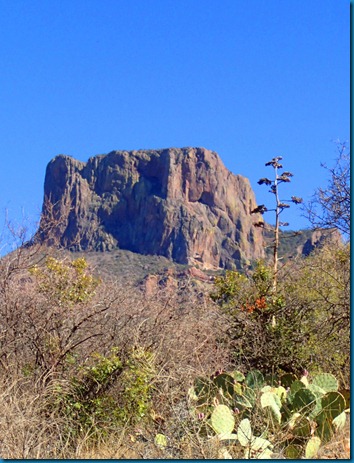 2013-02-23 194