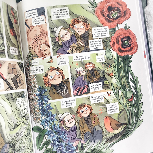 Bande dessinée : Le jardin secret de Maud Begon