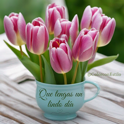 Que-tengas-un-lindo-dia-tulipanes