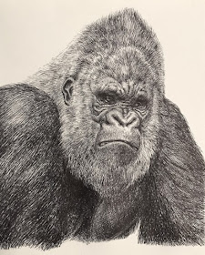 09-Fierce-Gorilla-Animal-Drawings-Guno-Park-www-designstack-co