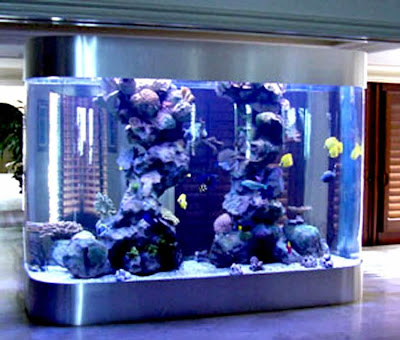 fish aquarium design