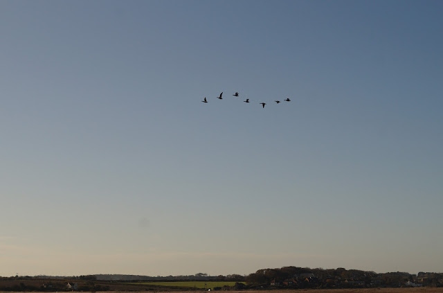 Norfolk Wildlife Trust Cley Marshes Nature Reserve