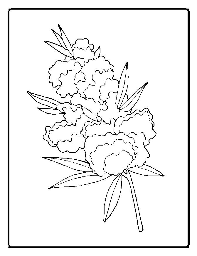 flower coloring pages