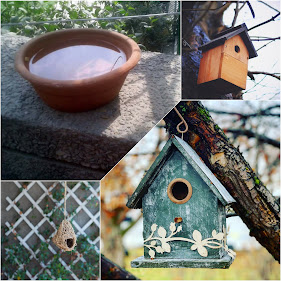 Beautiful bird houses and drinking water in pot for birds