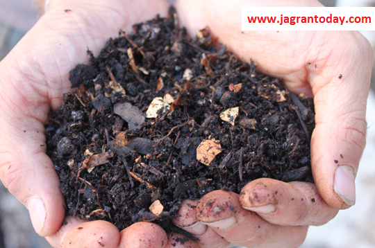 What is the Difference Between Fertilizer and Compost