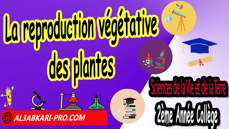 La reproduction végétative des plantes, Fiches techniques, La reproduction chez les plantes, Sciences de la Vie et de la Terre (SVT) de 2ème Année Collège, SVT 2AC biof, Sciences de la Vie et de la Terre (SVT) 2APIC option française, Fiche technique sur La reproduction chez les plantes 2ème Année Collège 2AC, Fiches techniques de la reproduction chez les plantes 2ème Année Collège 2AC, Activités sur La reproduction chez les plantes 2ème Année Collège 2AC, exposé sur La reproduction chez les plantes