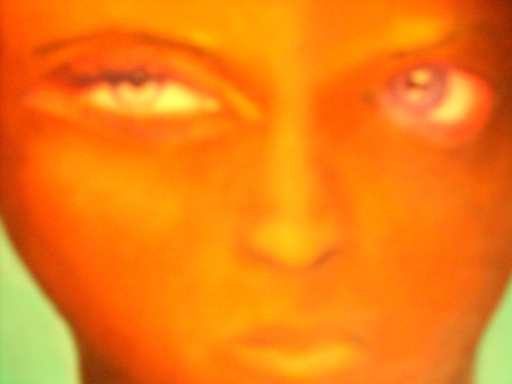 DSCN3691