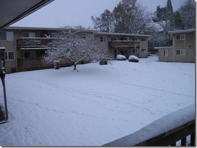 IMG_4804 Snow in Milwaukie, Oregon on December 14, 2008