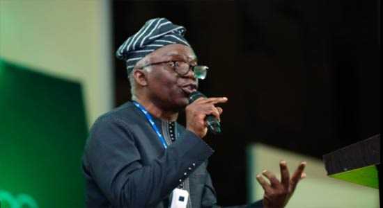 Falana SAN To Professional Bodies: Mobilise Your Members For PVC Registration