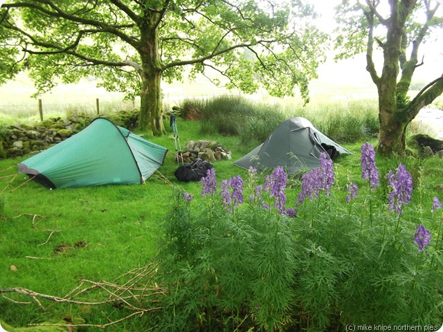 hengwm cap in a bower