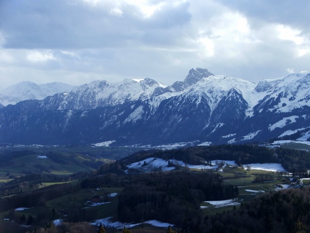 DSCF1825