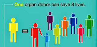 Organ Donation: Giving and saving lives, notto,donating human organs