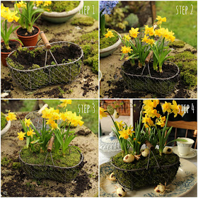 Step by step daffodil and moss flower display