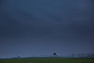 Arbre solitaire avant l'orage