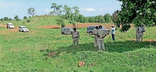 घाघरला में अवैध वन कटाई का निरीक्षण करने पहूचे आरक्षक पर किया हमले का प्रयास