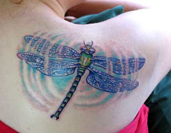 Dragonfly Tattoo Pictures