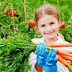 melatih kemandirian keterampilan anak dengan berkebun