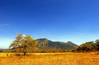 EKSOTISME TAMAN NASIONAL BALURAN