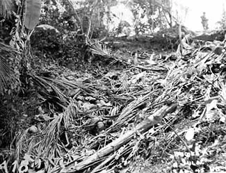 Japanese victims in Lipa Batangas