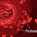 Learn About The Various Causes Of High Platelet 