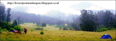 Tempat-Tempat Wisata Di Situbondo Yang Anggun Dan Mempesona