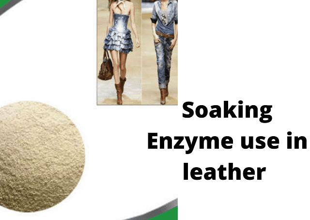 Soaking Enzyme use in leather | Soaking Enzyme Application
