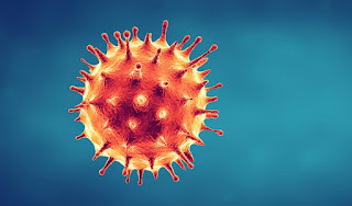 Coronavirus : La fase de mitigación