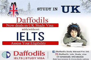 http://www.daffodilsstudy.com/daffodils-ludhiana.html