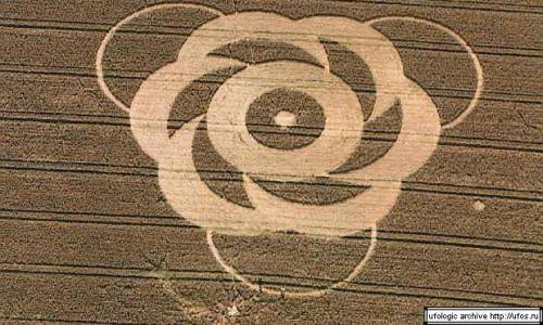Are Crop Circles Real