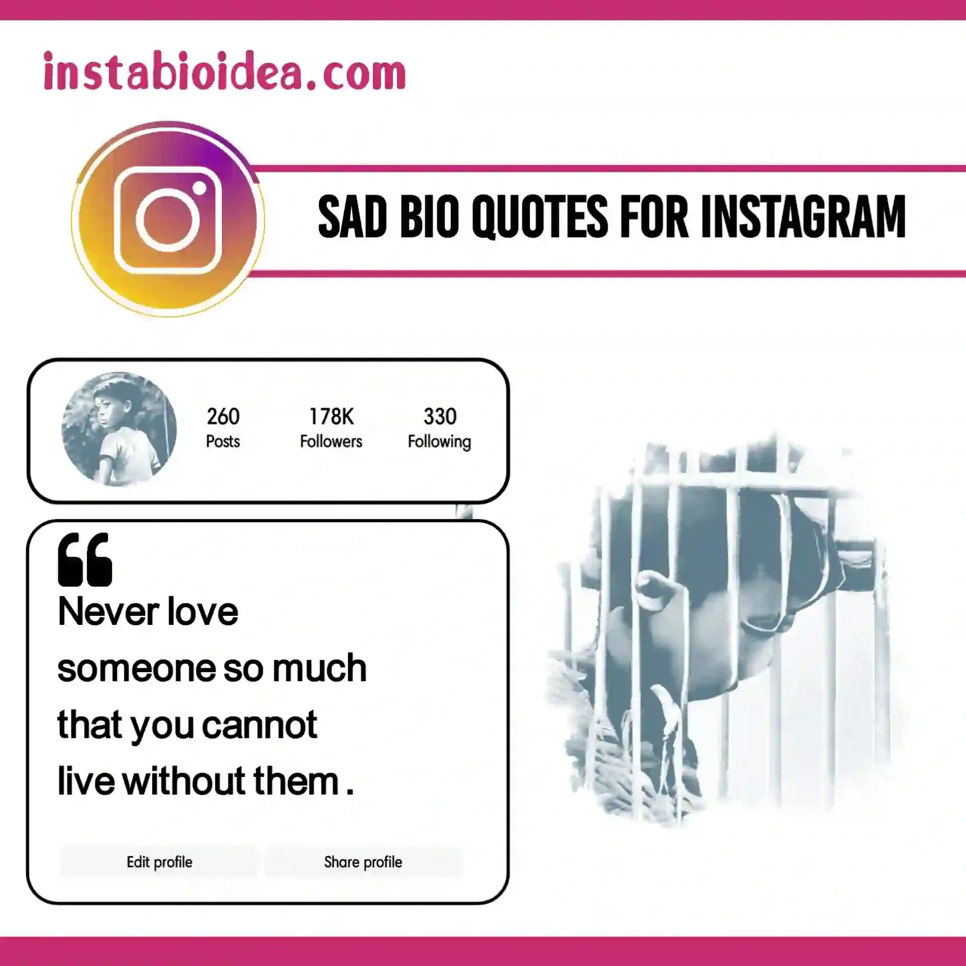 sad bio quotes for instagram image 8