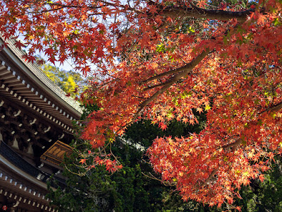 Autumn leaves: Engaku-ji