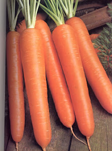 carrots