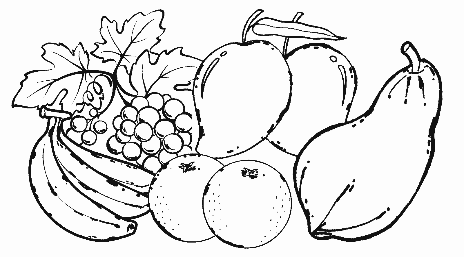  Sketsa  mewarnai gambar  buah  buahan  Dunia Putra Putri