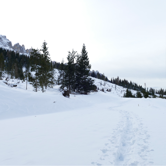 lago di carezza inverno escursione