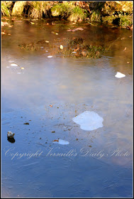 Ice Petit Trianon Versailles