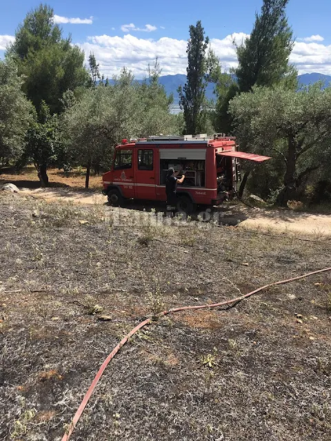 Αυλάκι Στυλίδας: Οι πυροσβέστες πρόλαβαν την φωτιά έξω από το εκκλησάκι 