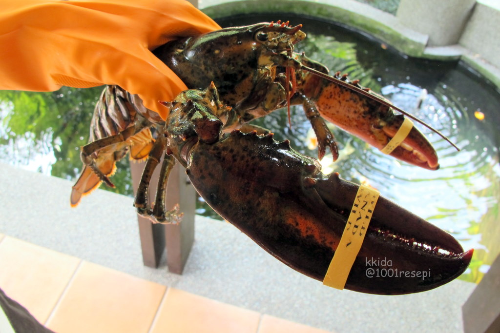 Koleksi 1001 Resepi: Lubuk Lobster