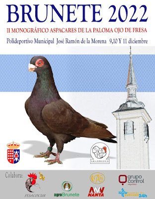 Monográfico de colombicultura de palomas de fresa