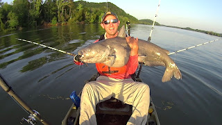 White Bass for Fun and Catfish Bait