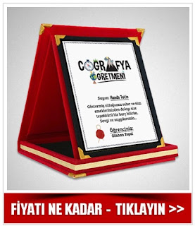 Coğrafya Öğretmenine Özel Plaket