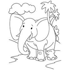 Baby Elephant At Forest Coloring Sheet