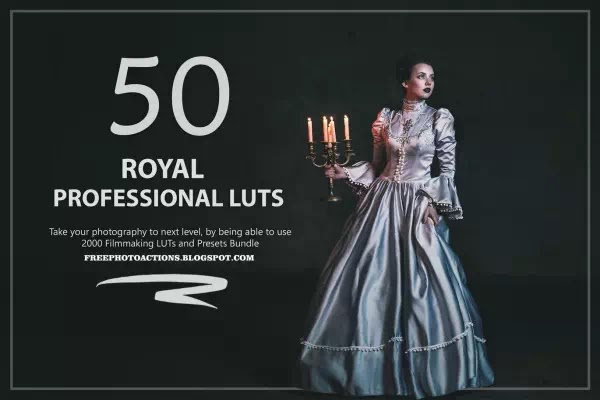 50-royal-luts-and-presets-pack-nrze77x