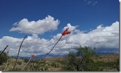 20160412_114625