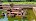 Momod Ads.id