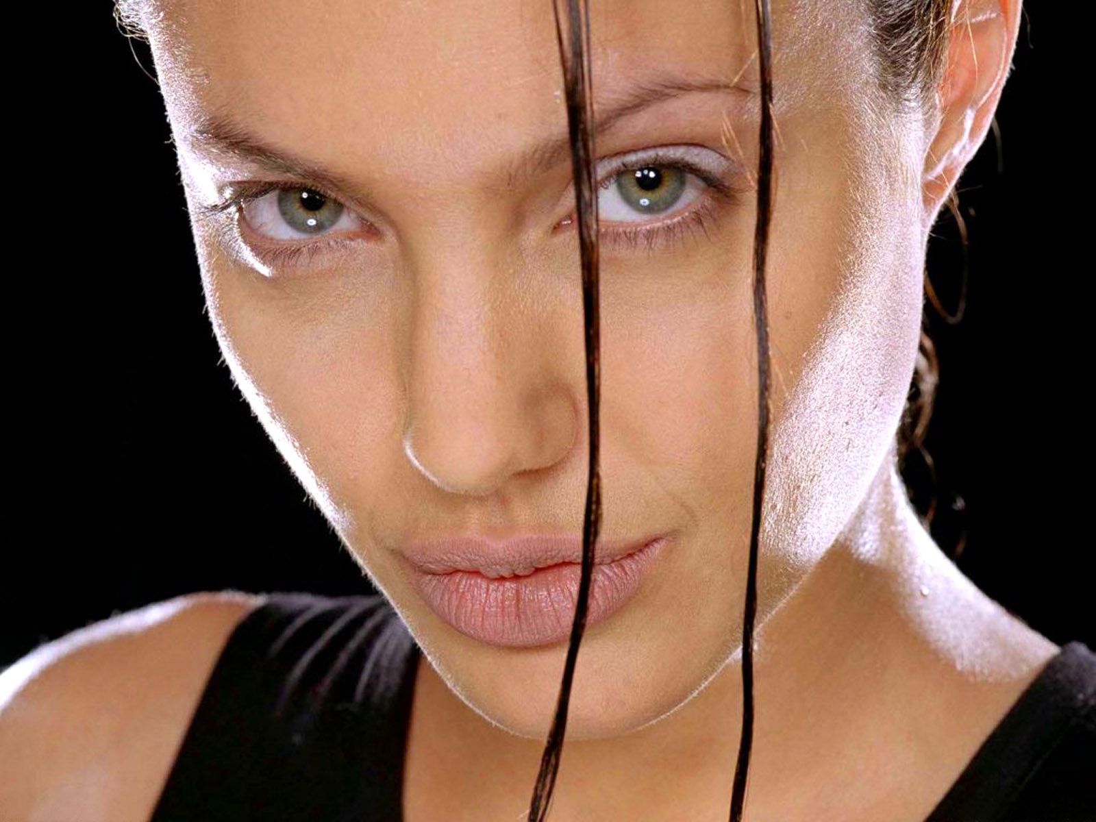 angelina jolie wallpaper