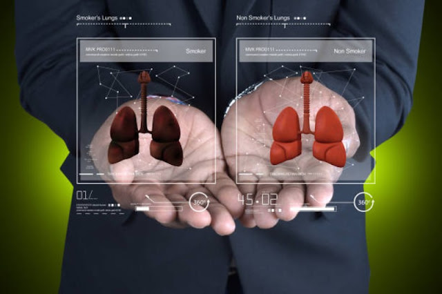 Hydration and Kidney Health: The Vital Connection