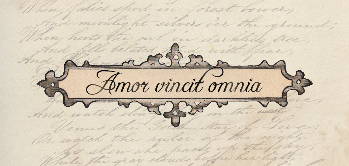 amor vincit omnia tatoo. amor vincit omnia tattoo on