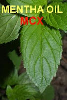 MCX Mentha tips